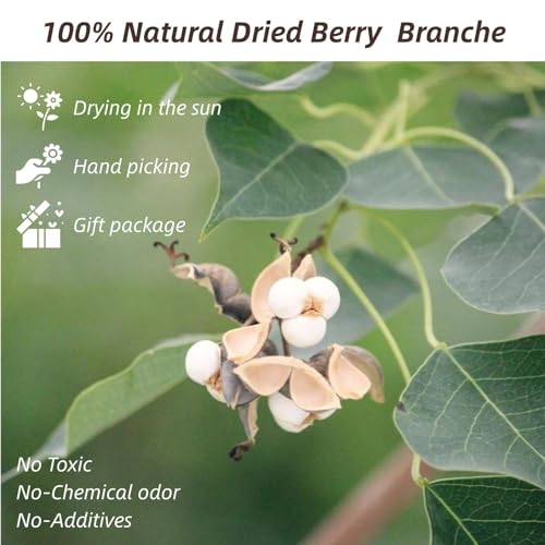 Dried Tallow Berries for Christmas Decor - 17-inch Natural Floral Stems