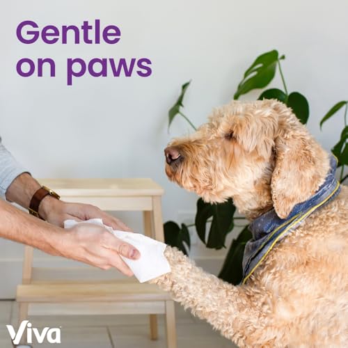 Viva Signature Cloth Paper Towels, Task Size - 12 Family Rolls (2 Packs of 6 Rolls) = 30 Regular Rolls (143 Sheets Per Roll)