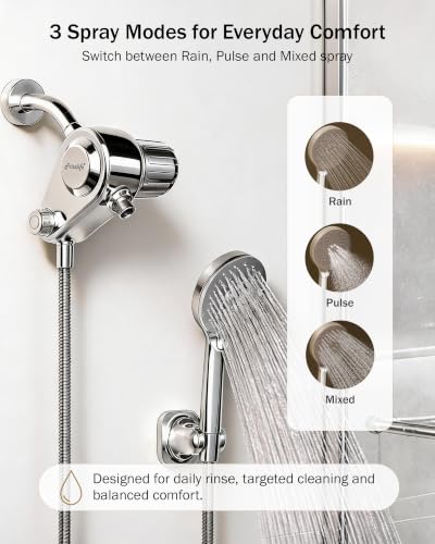 Frizzlife Dual-Outlet Shower Filter with Handheld Sprayer - Polished Chrome, K45+HS04