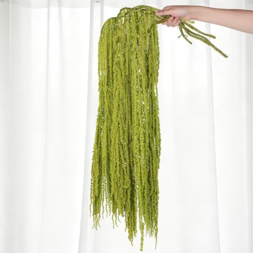 Green Preserved Amaranthus Hanging Flowers - 5 Pcs, 45 Inches