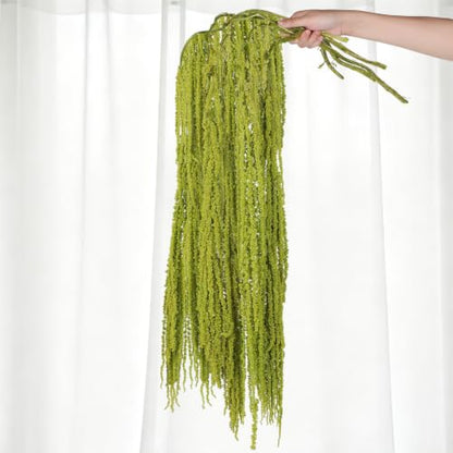 Green Preserved Amaranthus Hanging Flowers - 5 Pcs, 45 Inches