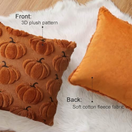 Rust Fall Pumpkin Throw Pillow Covers 18x18 Set of 2 - Farmhouse Decor