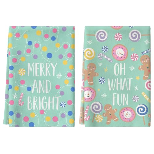 Christmas Hand Towels 2 Pack - Mint Green 18x26 Soft Absorbent Kitchen & Bathroom Towels