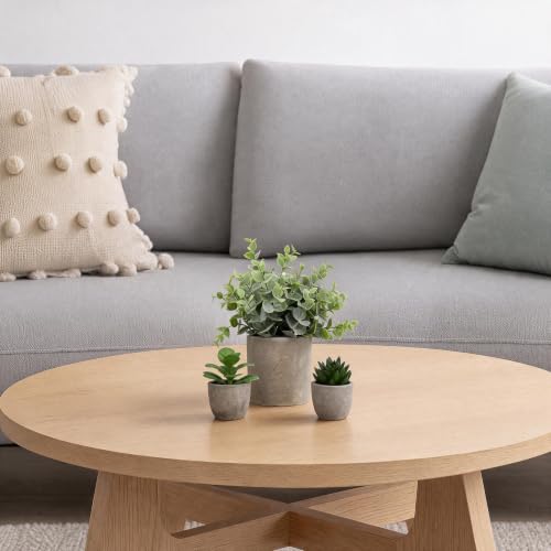 6 Pack Artificial Succulents and Eucalyptus Plants with Cement Pots for Indoor Decor