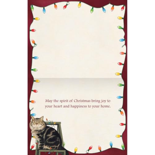 Boxed Christmas Cards Set with Holiday Artwork and Envelopes - 18 Count
