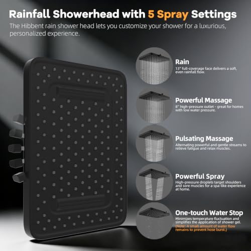 Rain Shower Head Combo with 10-Mode Filtered Handheld Spray - Black, Square 13"