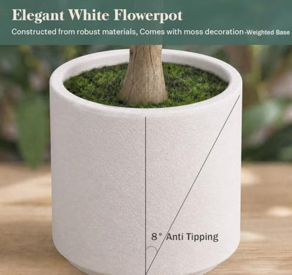 6ft Indoor Artificial Olive Tree with White Heavy Planter - Green 1.8m