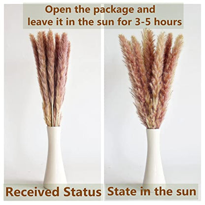 110PCS Boho Pampas Grass Decor Pack - Dried Flowers for Wedding & Party