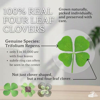 Clover Gift for Housewarming - Real Four Leaf Clover Keepsake for New Home - Variation of This Listing