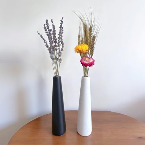 2-Pack Shatter-Resistant Vase Set with Dried Flowers for Tabletop Decor
