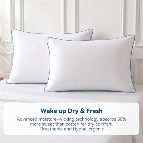 White King Size Tencel Lyocell Pillow Protector 2 Pack with Zipper - Hypoallergenic & Cool