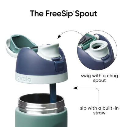 Kids Stainless Steel Water Bottle 16 oz with FreeSip Spout - Joshua Tree Variation