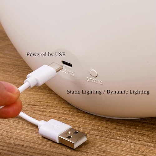 Northern Lights Night Light Valentine Christmas Birthday Gift - White Aurora Glow