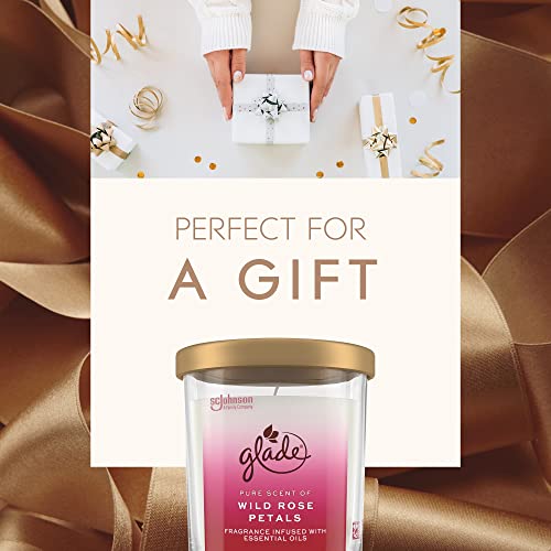 Glade Candle Jar, Large Candle Infused with Essential Oils, Air Freshener for Home Decor, Wild Rose Petals, 16oz