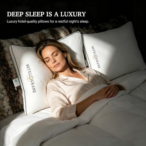 Queen Size Hotel Support Gusset Pillow Set of 2 White - Medium Firm