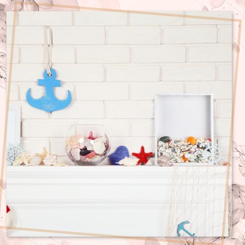 Seashell Display Shadow Box with Wooden Frame - Top Loading 13.8x10.9 Inch