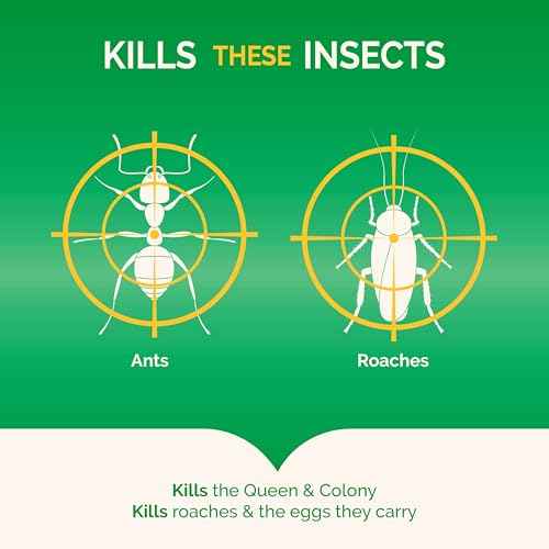 Hot Shot Ultra Clear Roach & Ant Insects Gel Bait , 2.5 oz