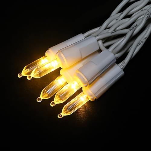 Warm White LED Christmas String Lights 9.6ft Flicker-Free Indoor Outdoor