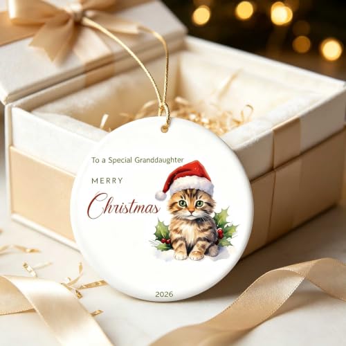 Granddaughter Christmas Ornament V16 - Cute Kitten Santa Holiday Keepsake