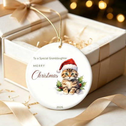 Granddaughter Christmas Ornament V16 - Cute Kitten Santa Holiday Keepsake