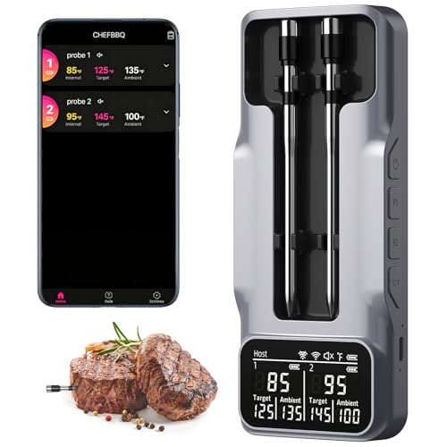 Wireless Meat Thermometer Digital with Bluetooth 800FT Range - Silver