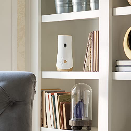 Glade Automatic Air Freshener Spray Holder, For Home and Bathroom, 1 Count