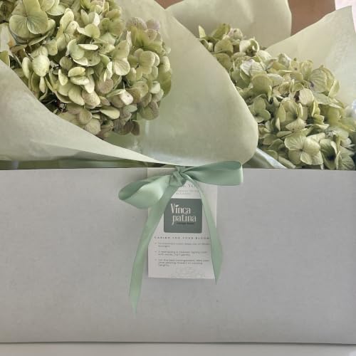 Dried Hydrangea Flowers Set - Large Natural Preserved Blooms for Wreaths & Decor