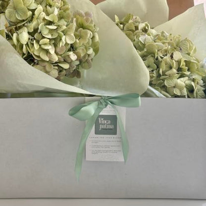 Dried Hydrangea Flowers Set - Large Natural Preserved Blooms for Wreaths & Decor
