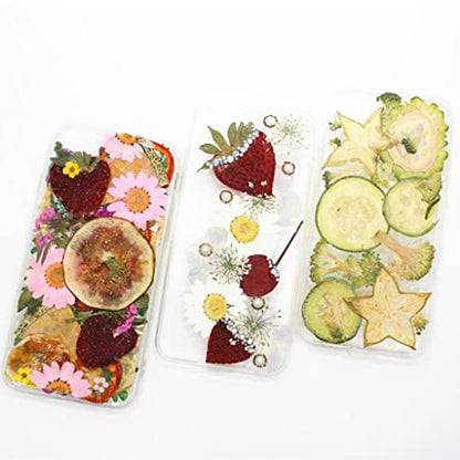 12pc Dried Fern Leaves for Crafts and Home Decor - Pressed Flowers