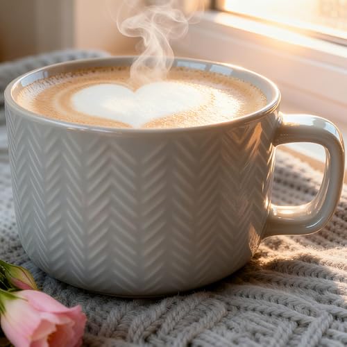 Disoza 24 OZ Gray Oversized Ceramic Coffee Mug with Handle - XXL Soup Cup