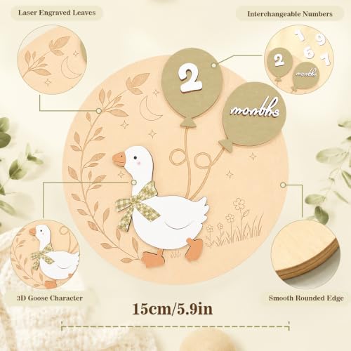 Baby Milestone Sign 3D White Goose Wooden Discs 1-12 Months with Interchangeable Numbers - Green Goose Variation