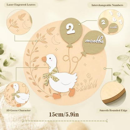 Baby Milestone Sign 3D White Goose Wooden Discs 1-12 Months with Interchangeable Numbers - Green Goose Variation