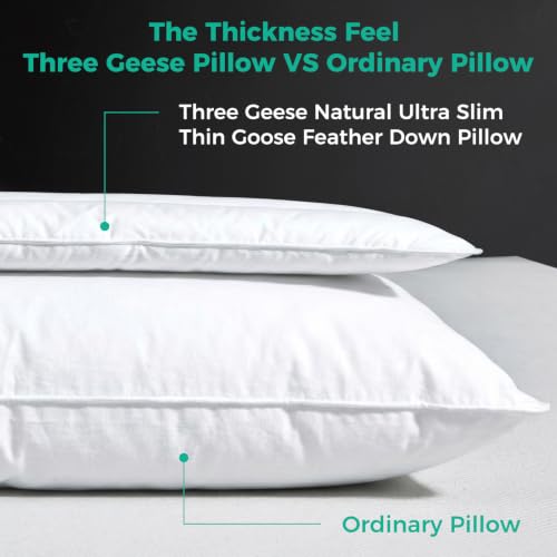 Solid White Goose Down Pillow Set of 2 - 2.5 Inch Thickness, Organic Cotton Cover, Medium Firm Hotel Collection Slim Bed Pillows