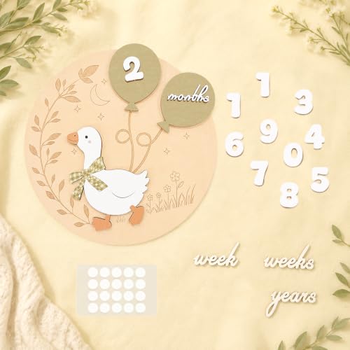 Baby Milestone Sign 3D White Goose Wooden Discs 1-12 Months with Interchangeable Numbers - Green Goose Variation