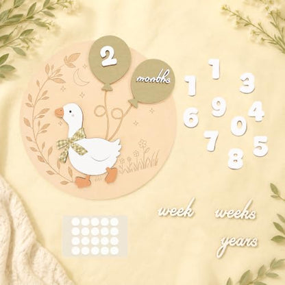 Baby Milestone Sign 3D White Goose Wooden Discs 1-12 Months with Interchangeable Numbers - Green Goose Variation