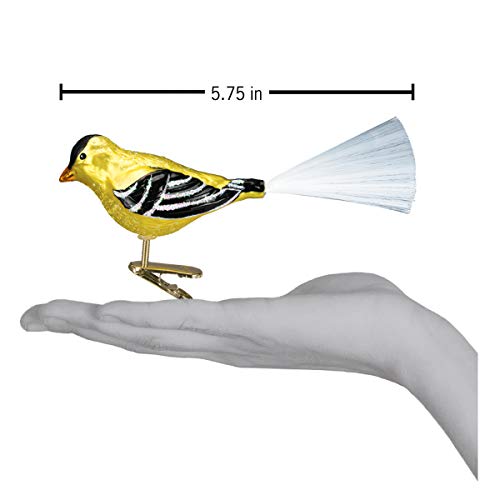 Bird Watcher Glass Christmas Ornament - Hand-Painted Western Goldfinch, 5¾"