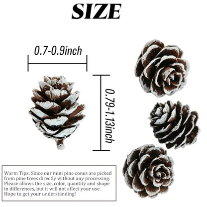 Natural Mini Pine Cones for Holiday Decor & Crafts - 160pcs