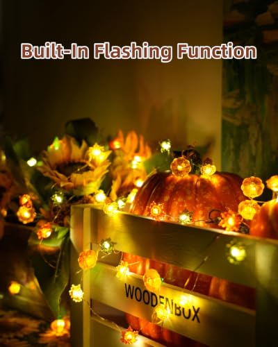 Fall Decor String Lights 10Ft 30 LEDs Acorn Pumpkin Maple Leaf for Autumn Thanksgiving