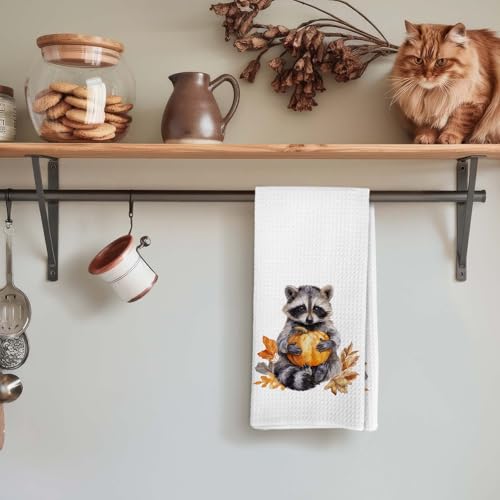 Raccoon Pumpkin Fall Kitchen Hand Towels - Autumn Halloween Decor, 16x24 Inch - Bundle of 1