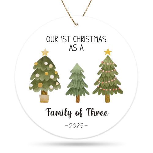Baby First Christmas Ornament 2025 Family of Three Holiday Decoration