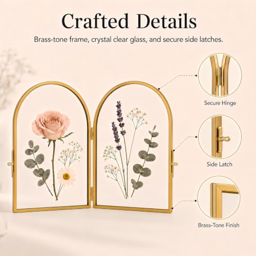 Double Glass Pressed Flower Frame - Gold 5x7 Inch Floating Picture Frame - Arched Design