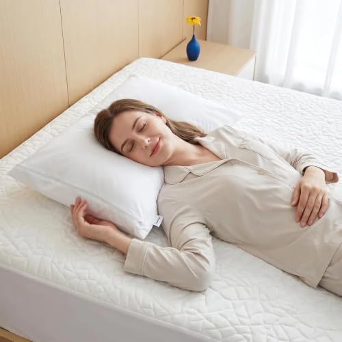 Waterproof Pillow Encasement Queen with Allergen Blocker & Secure Zipper