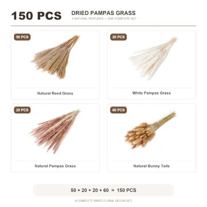 150PCS Dried Pampas Grass Flowers Bouquet for Boho Rustic Home & Wedding Decor