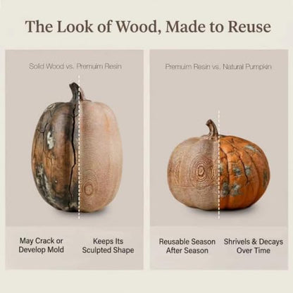 Faux Wood Grain Resin Pumpkins Set of 2 Fall Decor for Thanksgiving