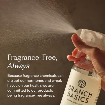 All-Purpose Refillable Surface Cleaner Kit - Natural, Safe, Eco-Friendly
