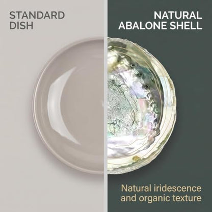 Large Abalone Shell Bowls Set for Smudging Incense and Decor - 4 to 4.5 Inches