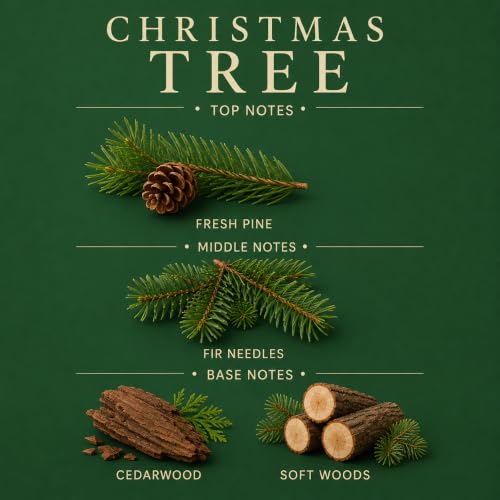 Christmas Tree Reed Diffuser - Highly Fragrant Home Fragrance with 8 Reeds - Affinati