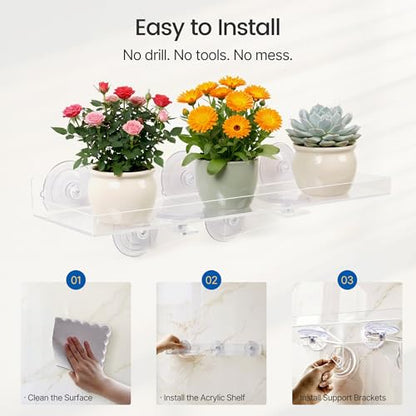 15.7 x 5.9 Inch Heavy Duty Suction Cup Window Plant Shelf - 2 Pack