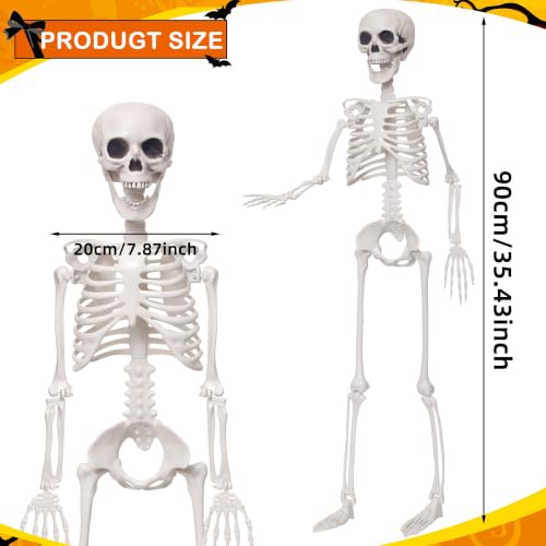 3Ft Life Size Posable Skeleton for Halloween Decorations - Realistic Full Body Design