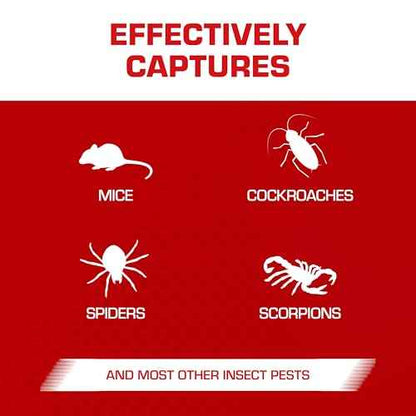 Tomcat Glue Traps Mouse Size with Eugenol for Enhanced Stickiness for Mice, Cockroaches, and Spiders, 6 Traps